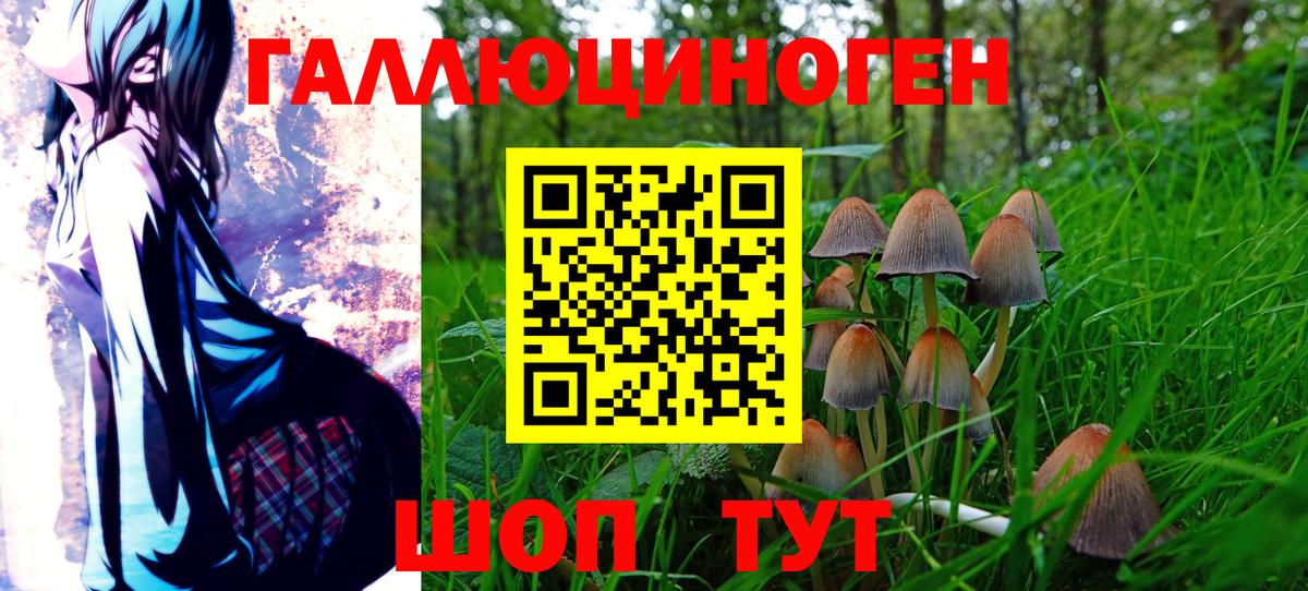 Псилоцибиновые грибы мицелий  Галлюциногенные грибы Psilocybine cubensis  Вход с VPN  Истра 
